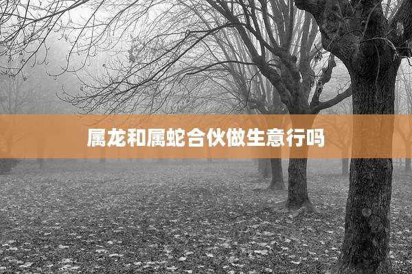属龙和属蛇合伙做生意行吗