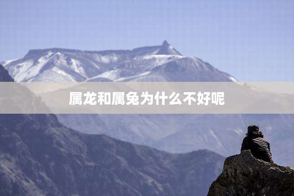 属龙和属兔为什么不好呢