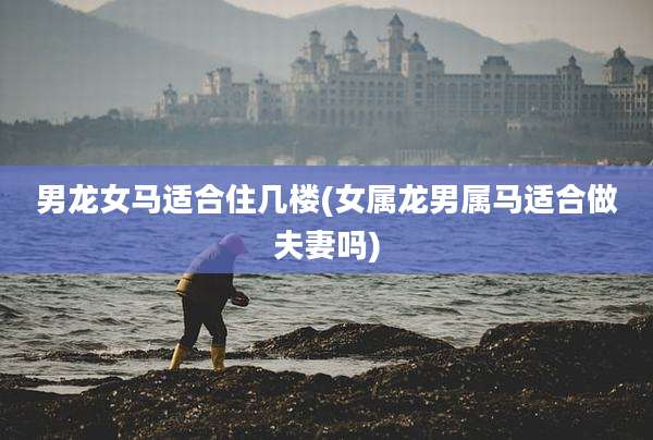 男龙女马适合住几楼(女属龙男属马适合做夫妻吗)