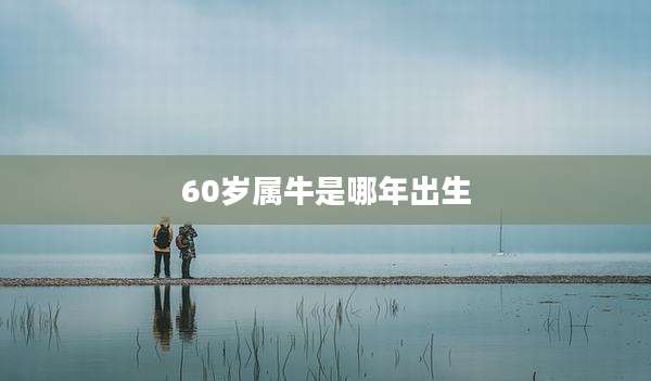 60岁属牛是哪年出生