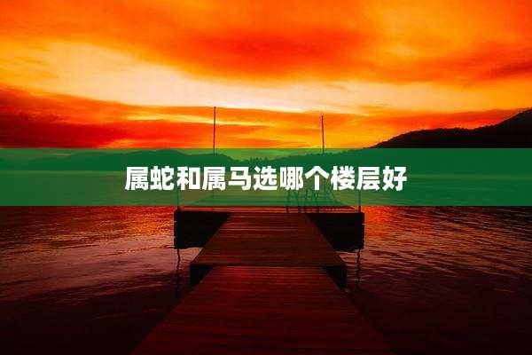 属蛇和属马选哪个楼层好