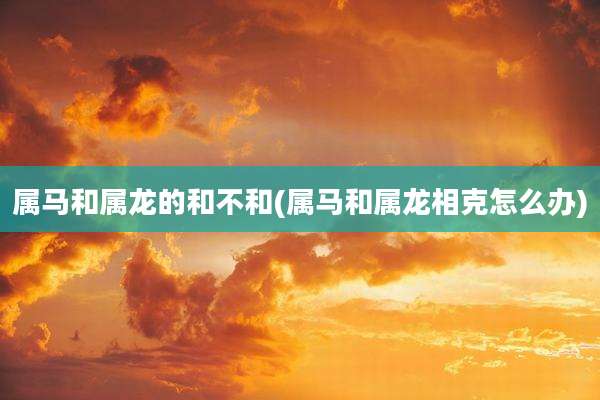 属马和属龙的和不和(属马和属龙相克怎么办)