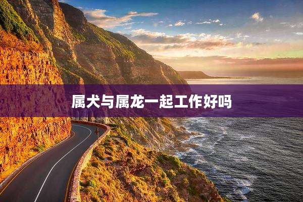 属犬与属龙一起工作好吗