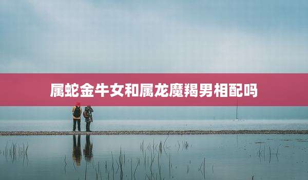属蛇金牛女和属龙魔羯男相配吗