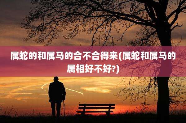 属蛇的和属马的合不合得来(属蛇和属马的属相好不好?)