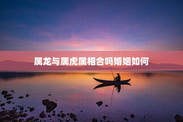 属龙与属虎属相合吗婚姻如何