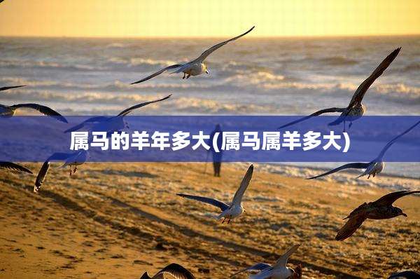 属马的羊年多大(属马属羊多大)