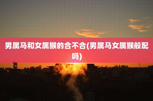 男属马和女属猴的合不合(男属马女属猴般配吗)
