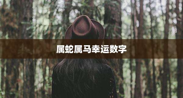 属蛇属马幸运数字