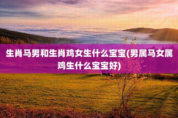 生肖马男和生肖鸡女生什么宝宝(男属马女属鸡生什么宝宝好)