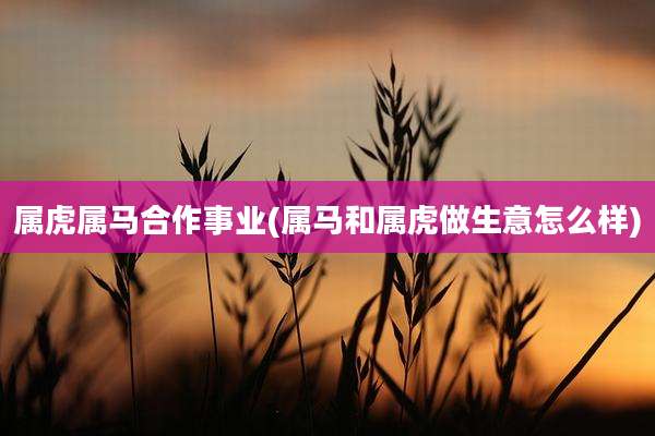 属虎属马合作事业(属马和属虎做生意怎么样)