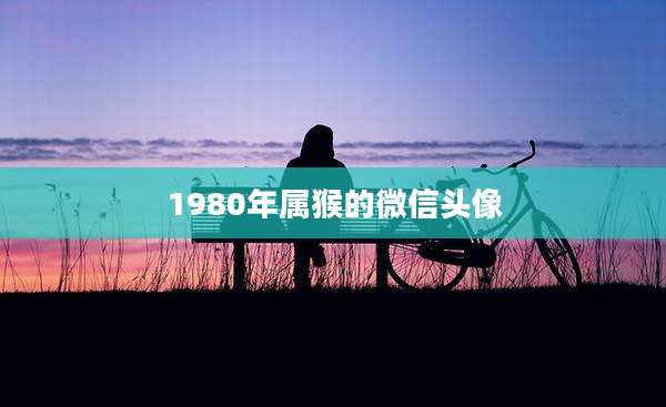 1980年属猴的微信头像