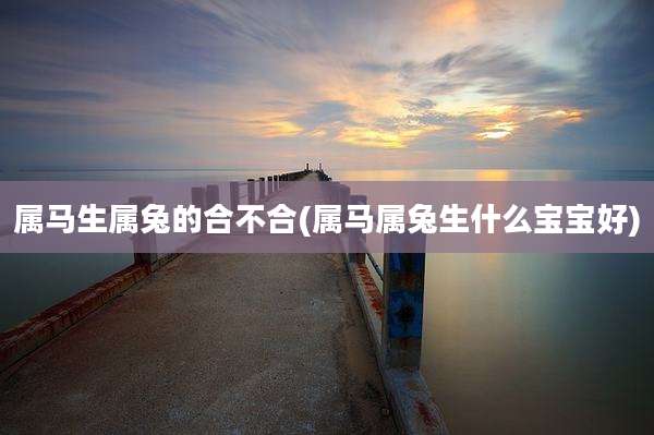 属马生属兔的合不合(属马属兔生什么宝宝好)