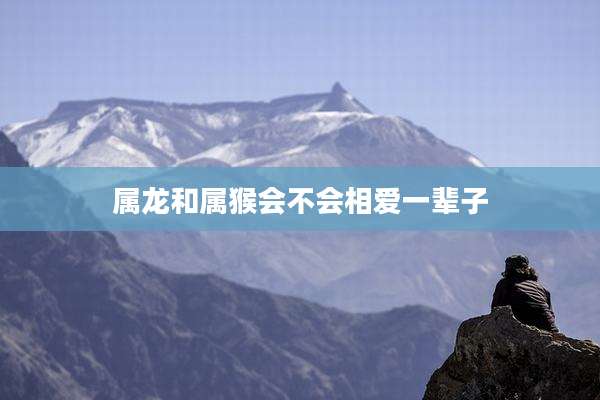 属龙和属猴会不会相爱一辈子