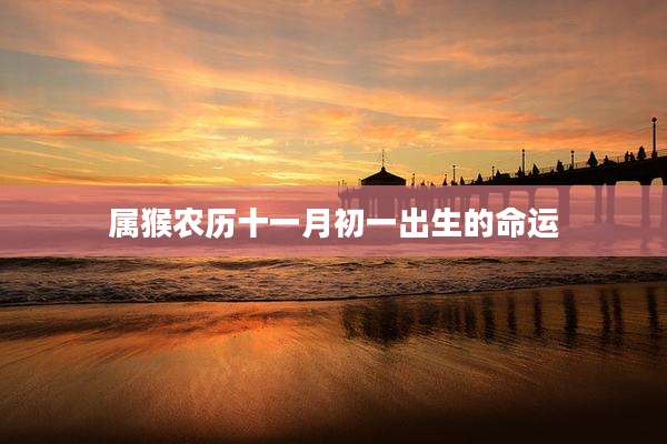 属猴农历十一月初一出生的命运