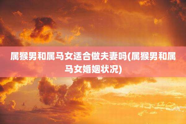 属猴男和属马女适合做夫妻吗(属猴男和属马女婚姻状况)