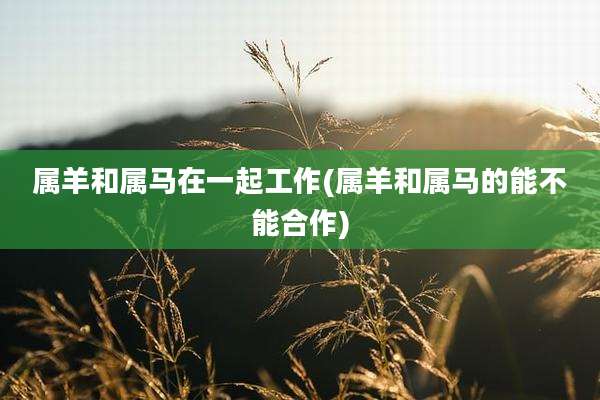 属羊和属马在一起工作(属羊和属马的能不能合作)