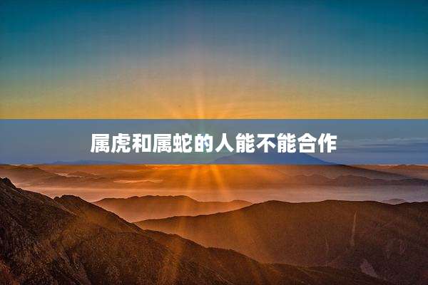 属虎和属蛇的人能不能合作