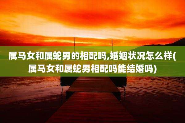 属马女和属蛇男的相配吗,婚姻状况怎么样(属马女和属蛇男相配吗能结婚吗)