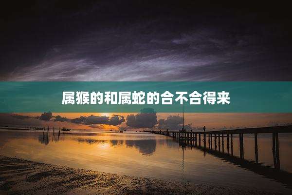 属猴的和属蛇的合不合得来