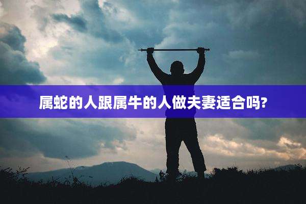 属蛇的人跟属牛的人做夫妻适合吗?