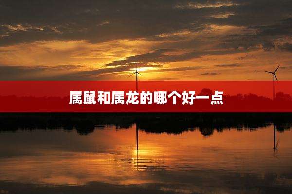 属鼠和属龙的哪个好一点