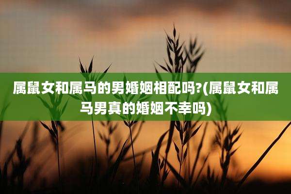 属鼠女和属马的男婚姻相配吗?(属鼠女和属马男真的婚姻不幸吗)