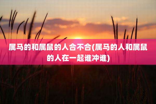 属马的和属鼠的人合不合(属马的人和属鼠的人在一起谁冲谁)