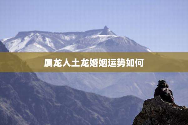 属龙人土龙婚姻运势如何