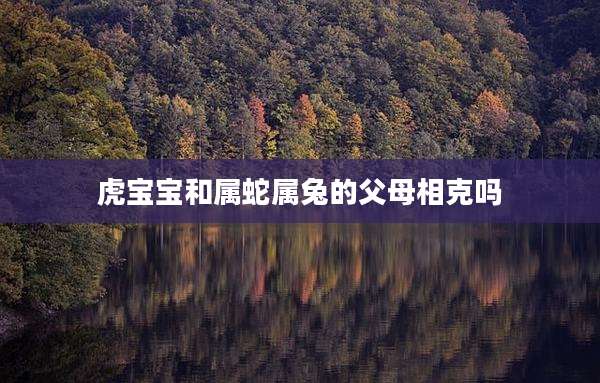 虎宝宝和属蛇属兔的父母相克吗