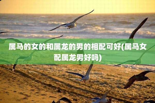 属马的女的和属龙的男的相配可好(属马女配属龙男好吗)