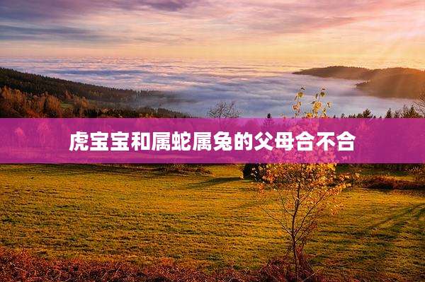 虎宝宝和属蛇属兔的父母合不合