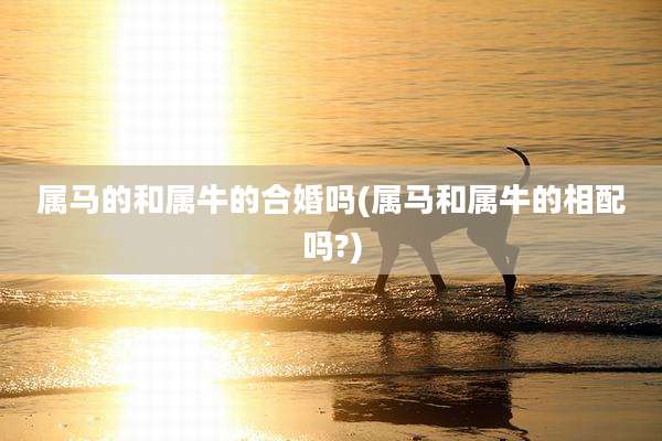 属马的和属牛的合婚吗(属马和属牛的相配吗?)