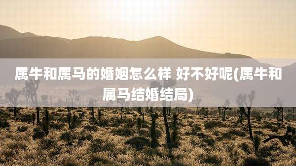 属牛和属马的婚姻怎么样 好不好呢(属牛和属马结婚结局)
