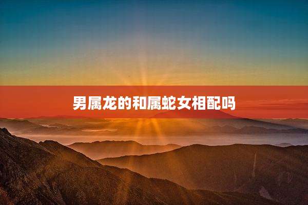 男属龙的和属蛇女相配吗