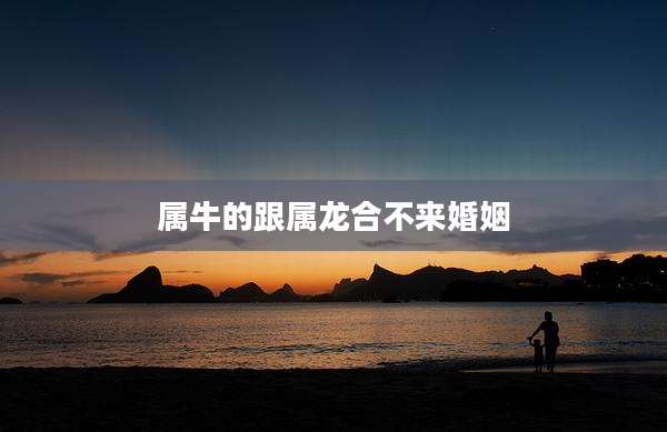 属牛的跟属龙合不来婚姻
