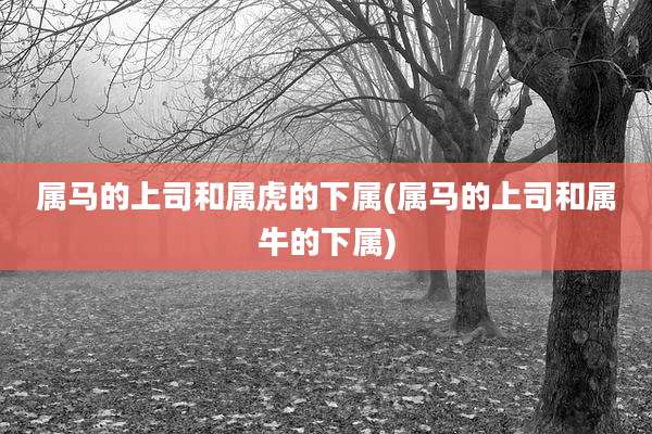 属马的上司和属虎的下属(属马的上司和属牛的下属)