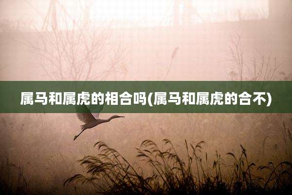 属马和属虎的相合吗(属马和属虎的合不)