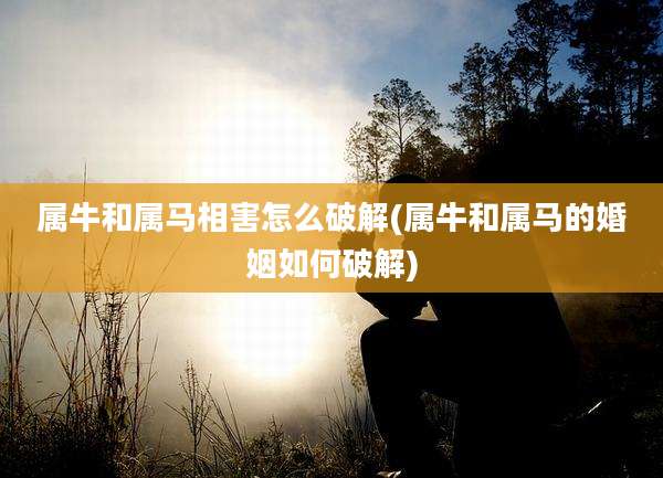 属牛和属马相害怎么破解(属牛和属马的婚姻如何破解)