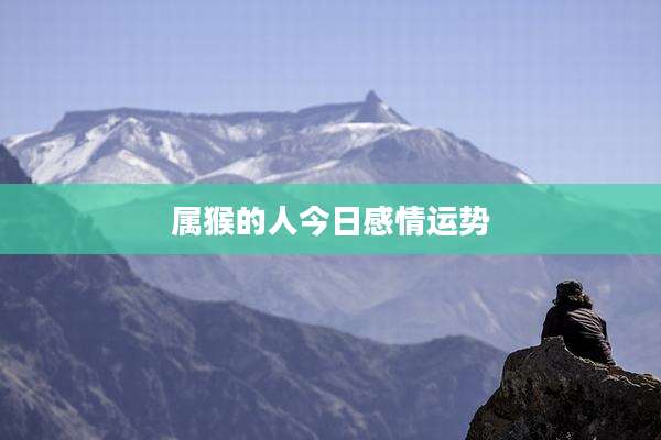 属猴的人今日感情运势