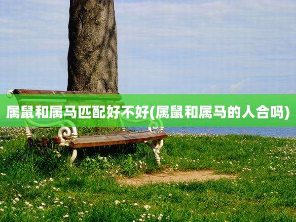属鼠和属马匹配好不好(属鼠和属马的人合吗)