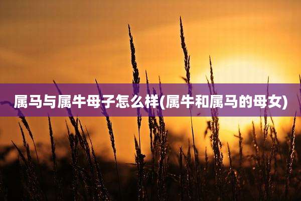 属马与属牛母子怎么样(属牛和属马的母女)