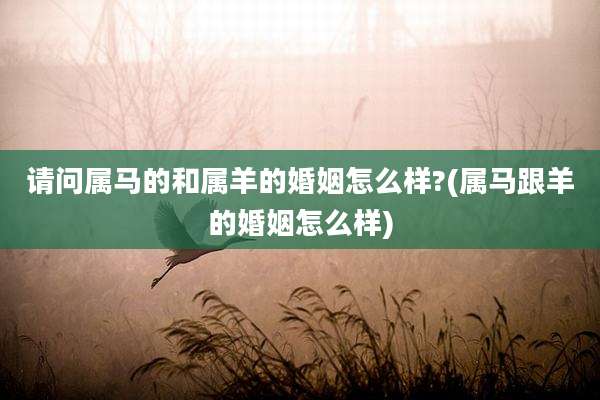 请问属马的和属羊的婚姻怎么样?(属马跟羊的婚姻怎么样)