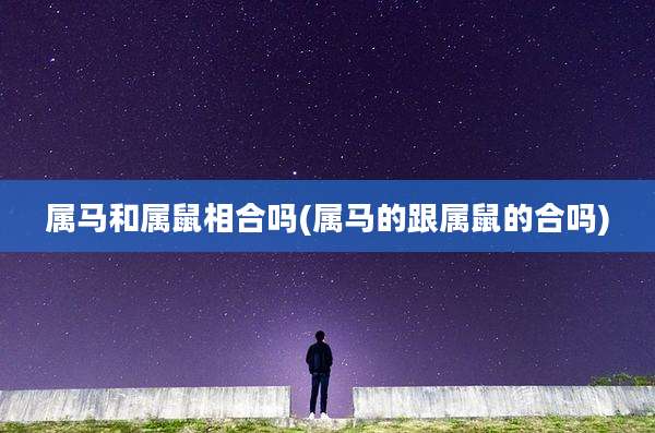 属马和属鼠相合吗(属马的跟属鼠的合吗)