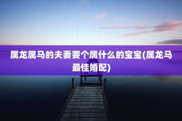 属龙属马的夫妻要个属什么的宝宝(属龙马最佳婚配)