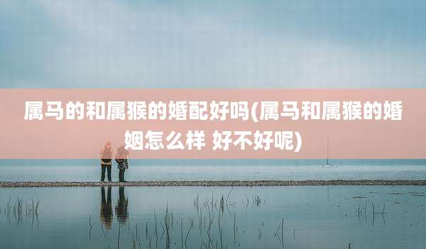 属马的和属猴的婚配好吗(属马和属猴的婚姻怎么样 好不好呢)