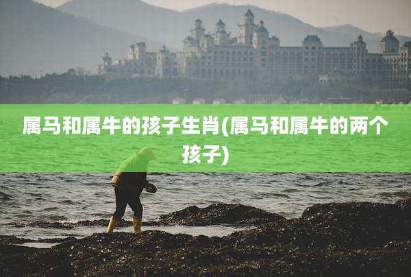 属马和属牛的孩子生肖(属马和属牛的两个孩子)