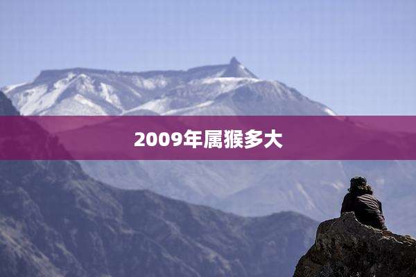 2009年属猴多大