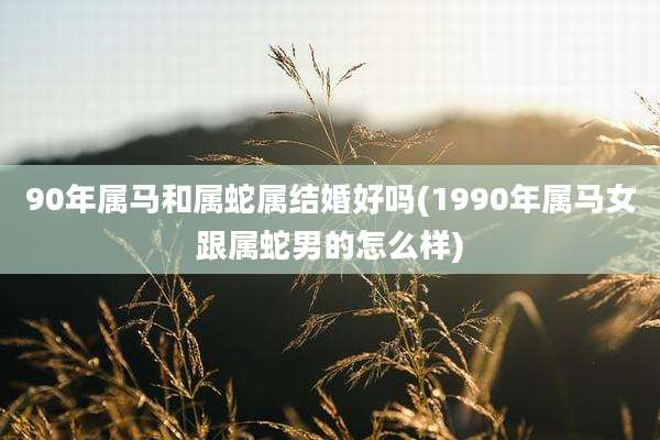 90年属马和属蛇属结婚好吗(1990年属马女跟属蛇男的怎么样)