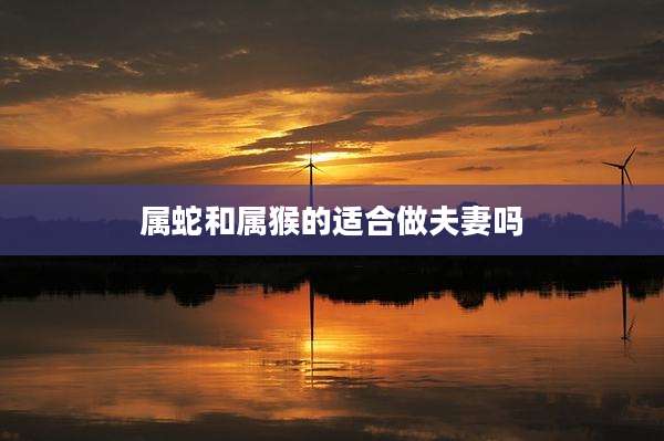 属蛇和属猴的适合做夫妻吗